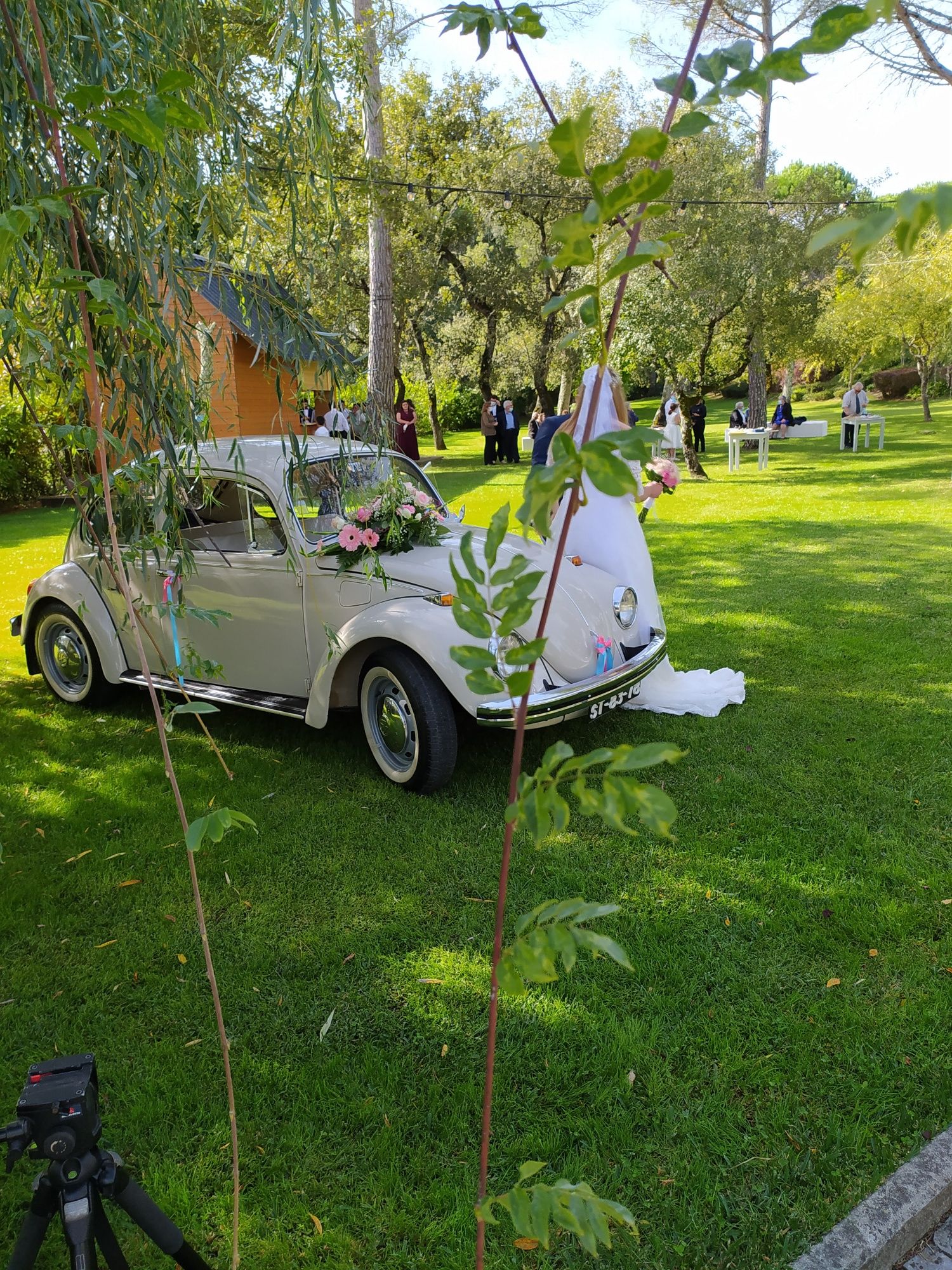 Carro para eventos