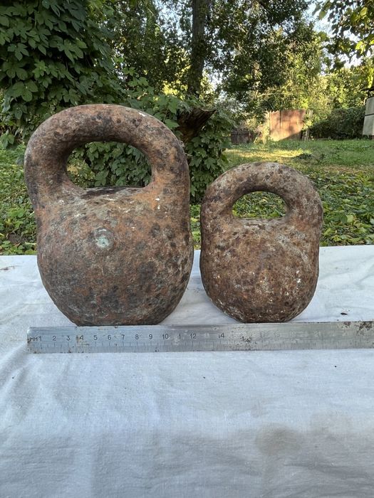 Вагові гирі 4 та 8 кг