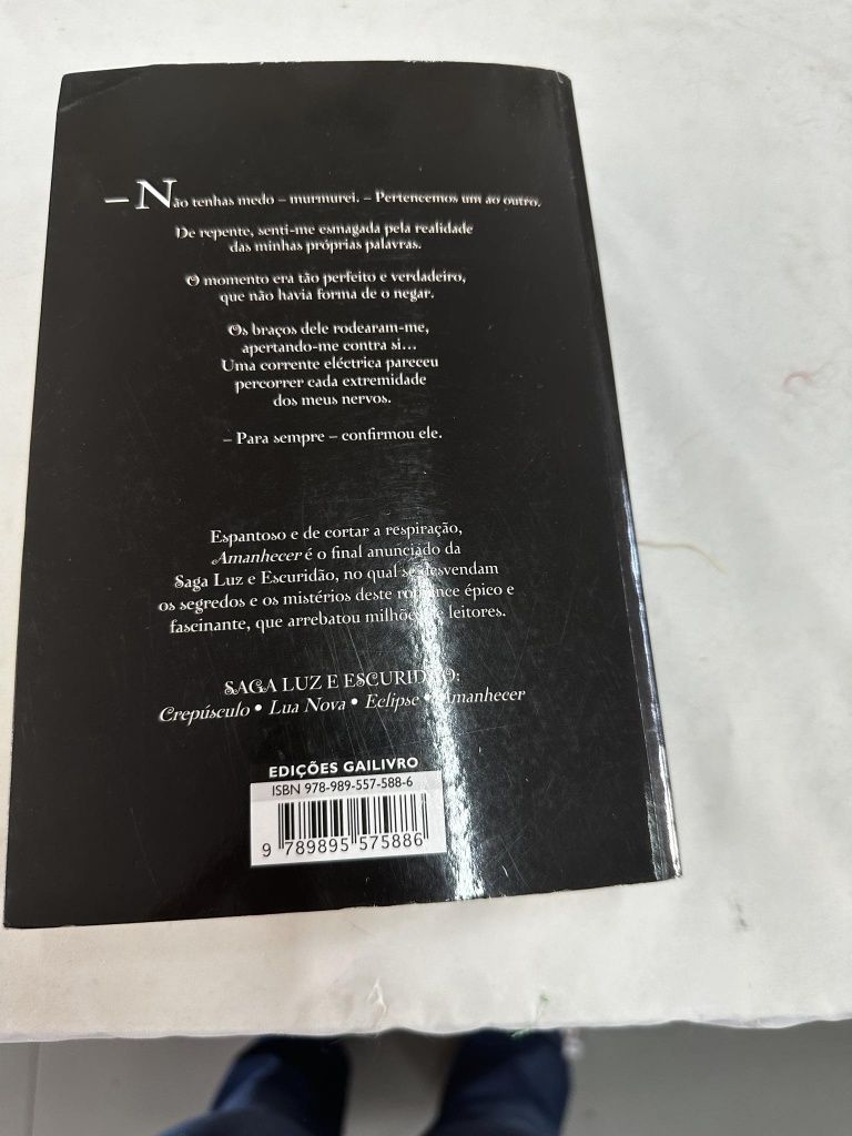 Amanhecer livro 4