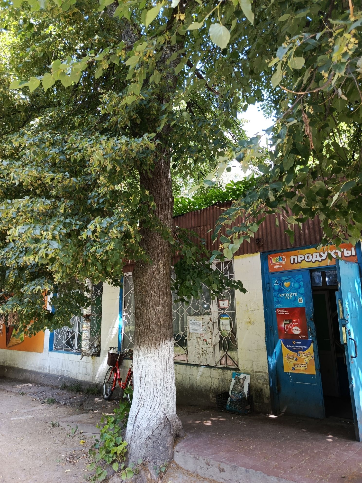 Продаж будинку під житло або дачу
