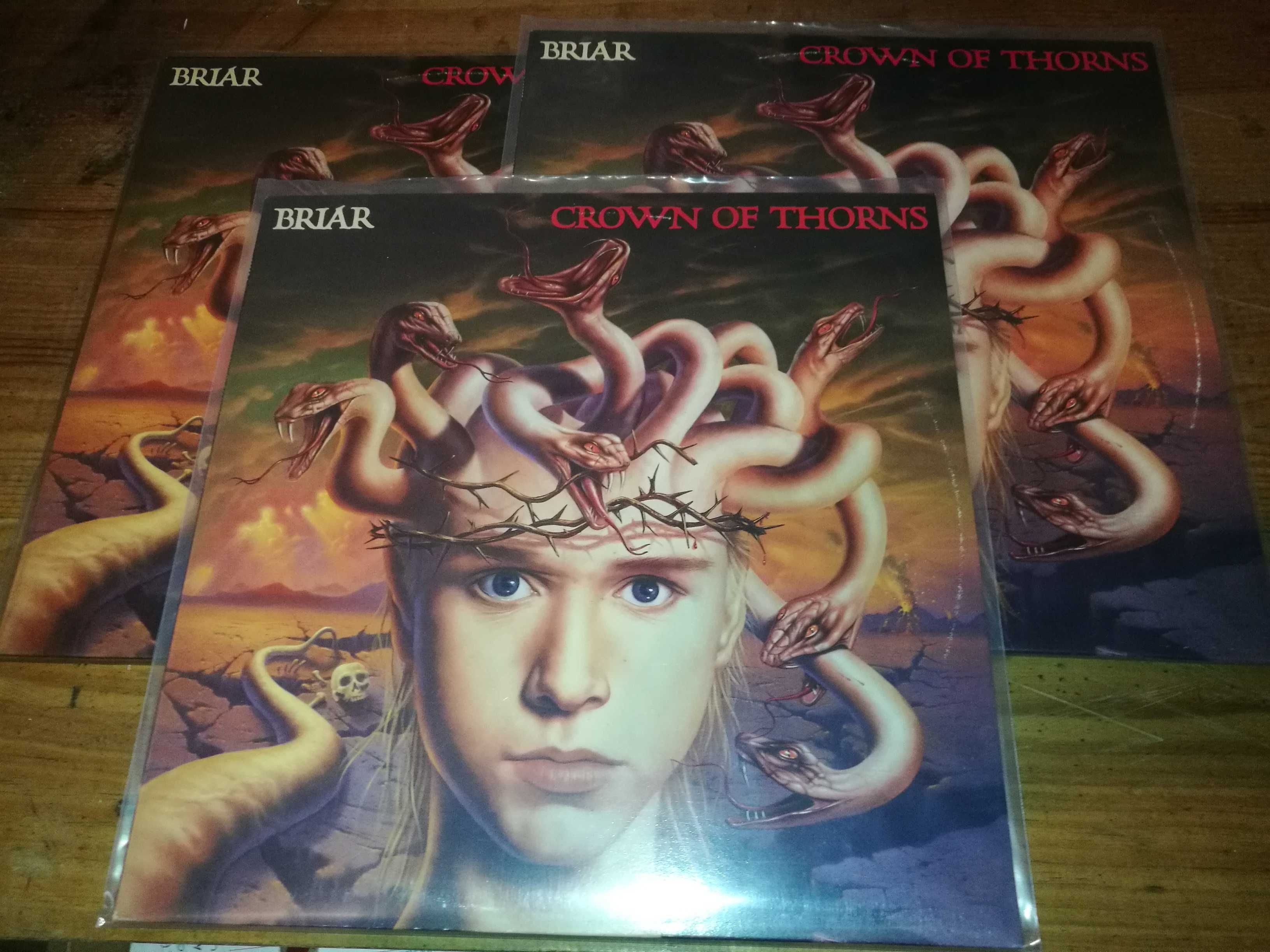 BRIAR   (METAL) - Crown Of   Thorns  LP NOVO