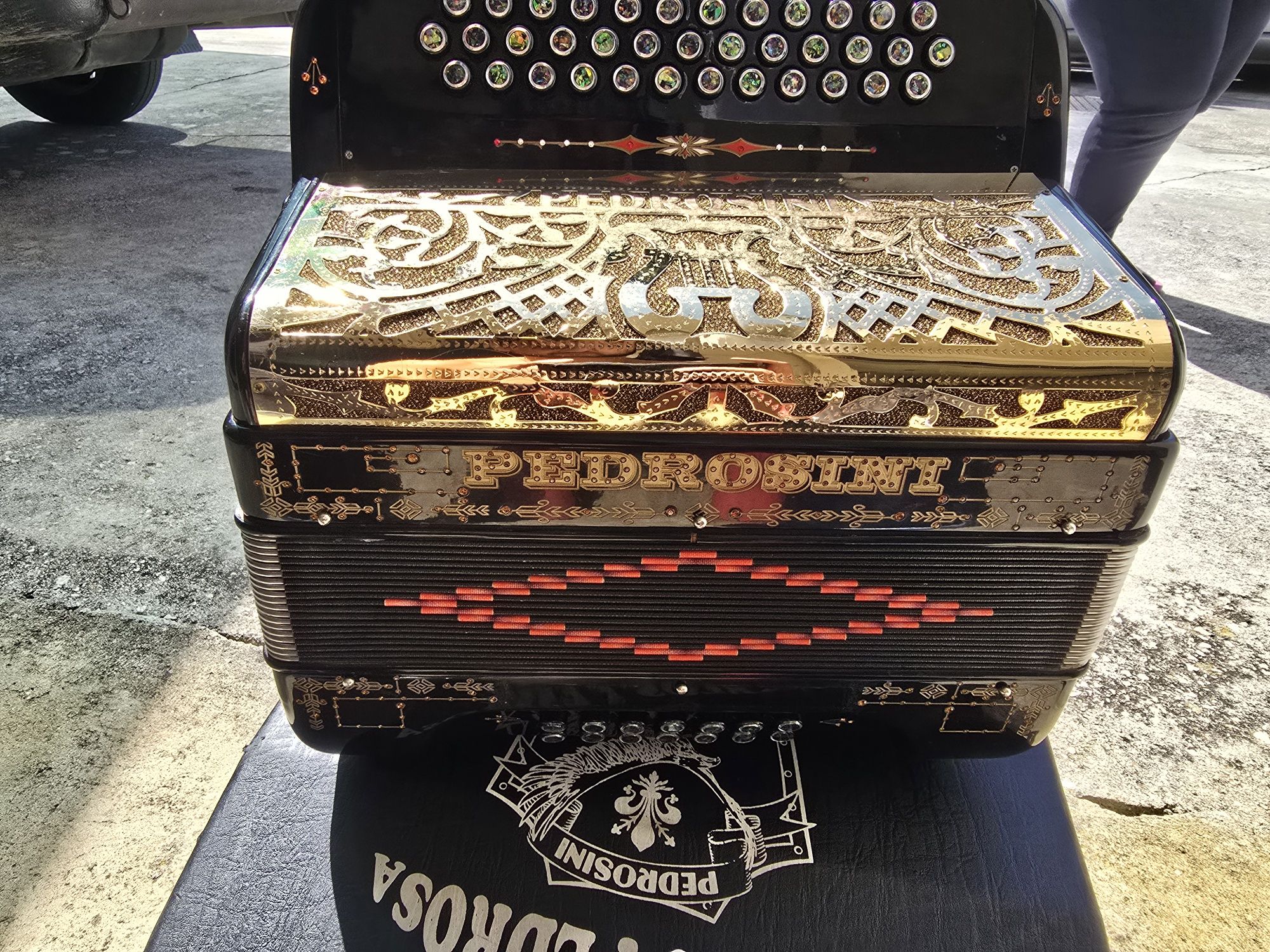 Concertina pedrosini