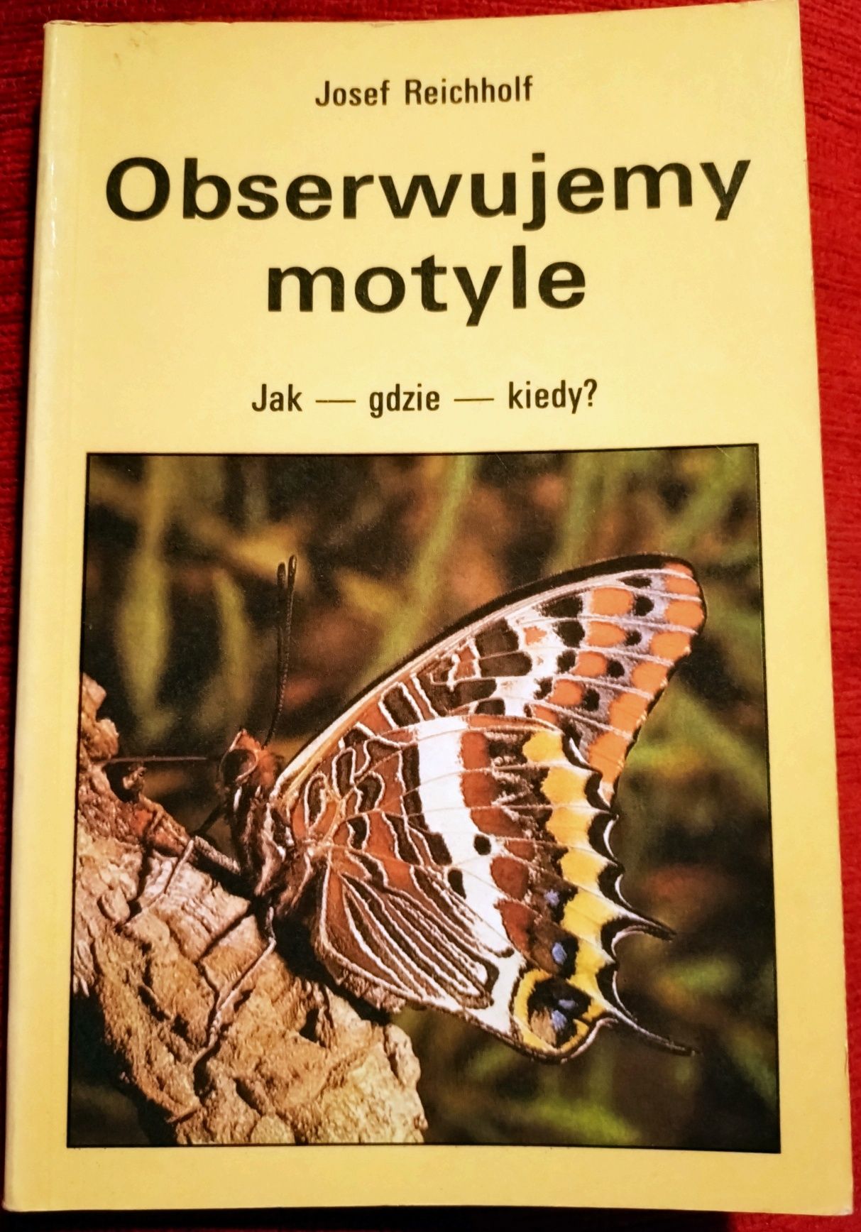 Obserwujemy motyle. Josef Reichholf