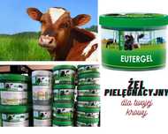 Żel kamforowy 1000ml Eutergel odkaża, rozgrzewa, pielęgnuje wymiona