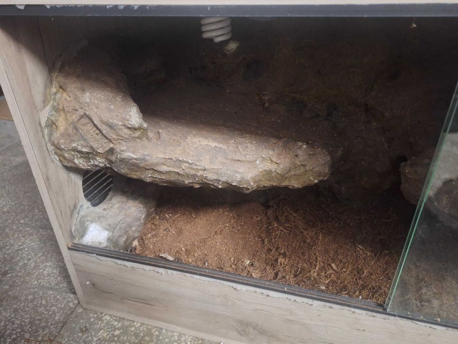 Terrarium 120x50 wys.60