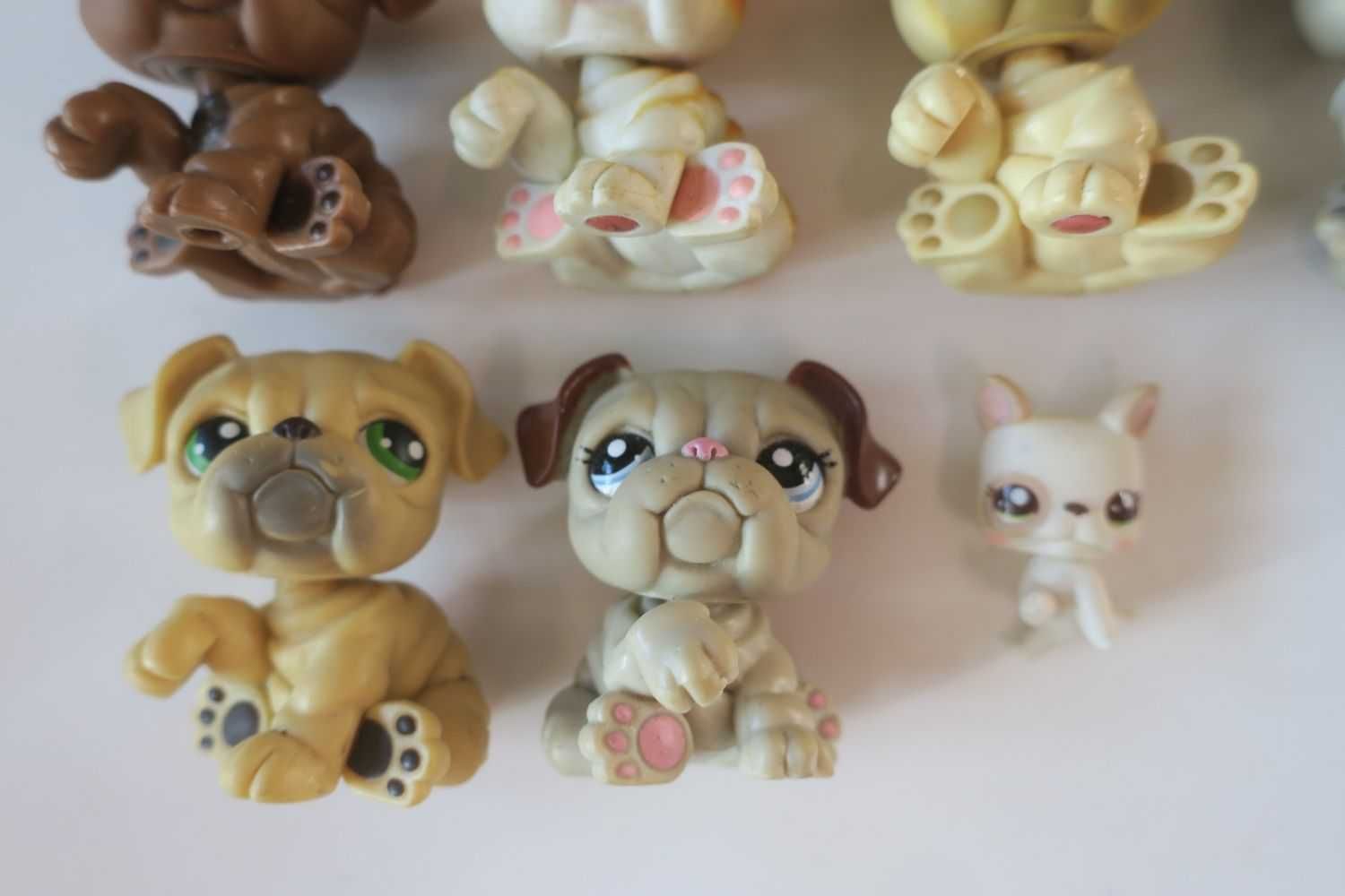 Buldog Littlest Pet Shop lps