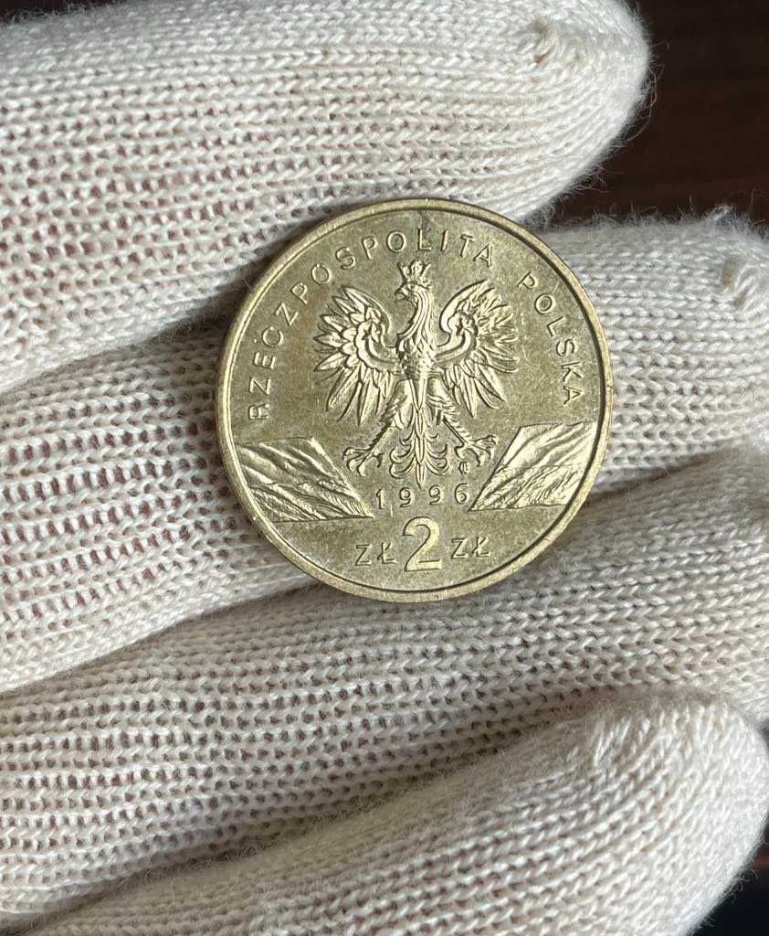 2 Złote Jeż 1996 NG Moneta