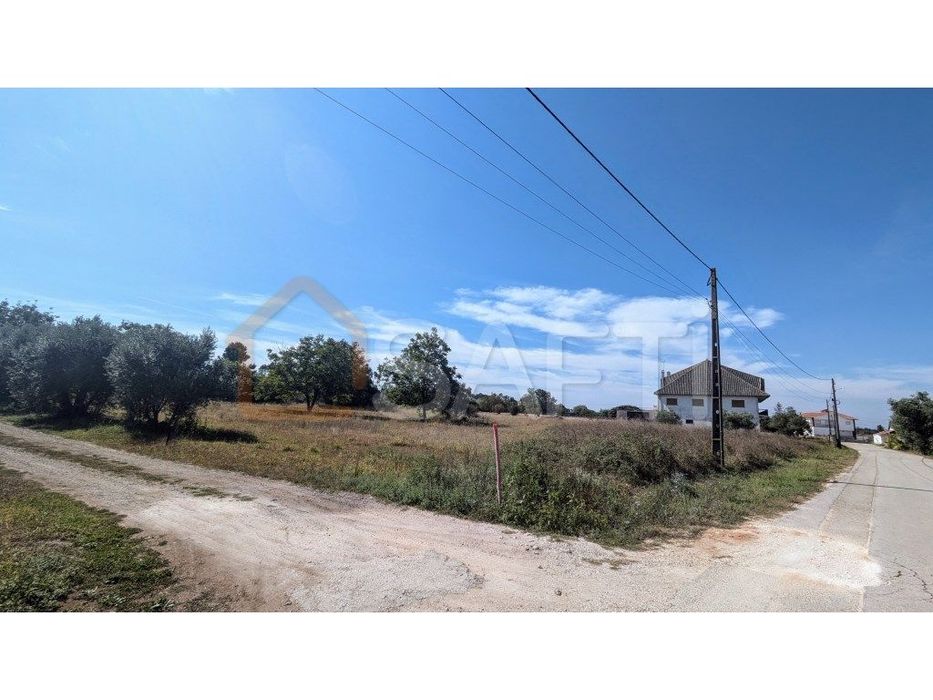 Terreno em Pombal (Matos da Ranha)