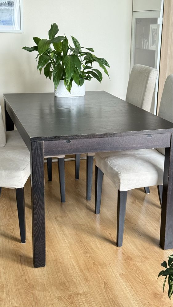 Stół IKEA Bjursta używany