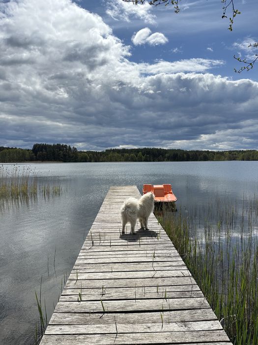 Balia jacuzzi Nocleg Domek nad jeziorem w lesie Kaszuby Mazury Kłączno