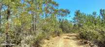 Terreno rustico com 5880m2 em Vale da Pereira