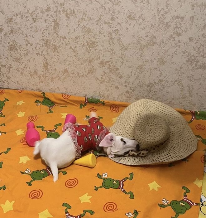 Красивая, умная малышка ищет маму