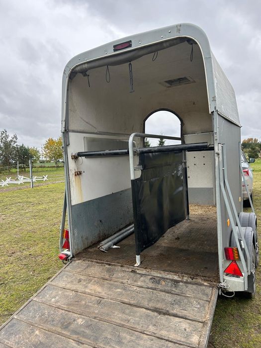 Przyczepa do koni  z 2005 roku dmc 2000 kg