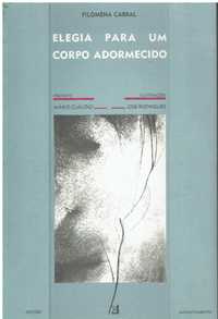 1531 Elegia para um Corpo Adormecido de Filomena Cabral