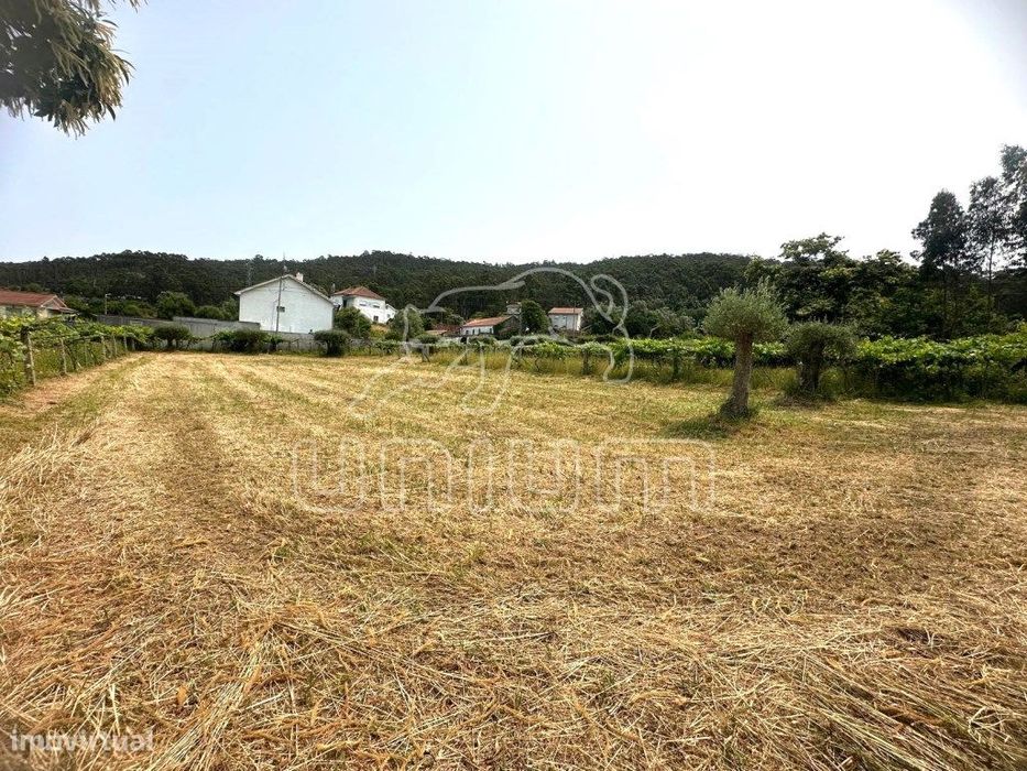 Terreno Agrícola - Vila Franca