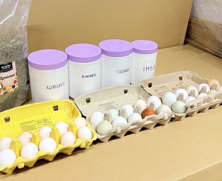 Sprzedam Jajka jaja swojskie wiejskie z wolnego wybiegu