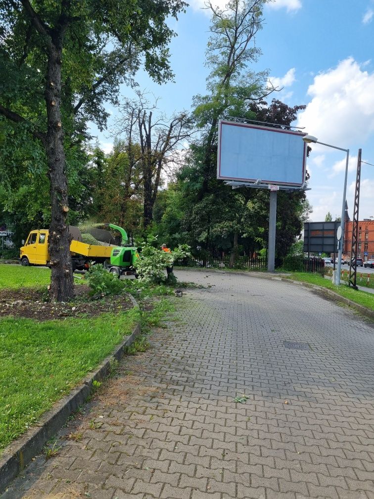 Wynajem Rębaka go gałęzi Rębak usowanie gałęzi utylizacja