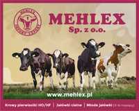 MEHLEX Krowy pierwiastki niemieckie, I laktacja