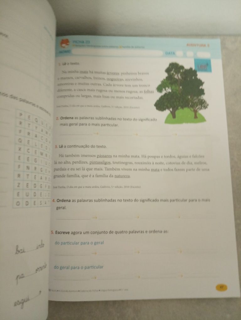 Português 3º ano