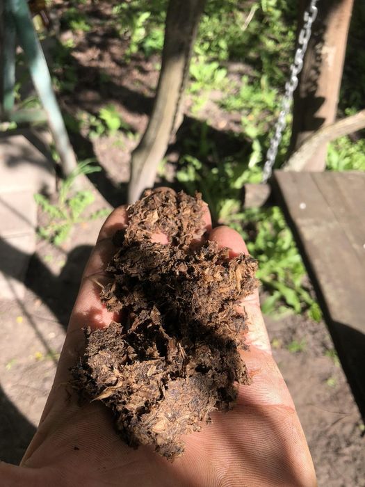 Жмих корня лопуха