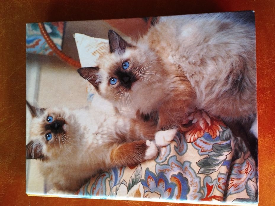 Фотоальбом на 48 фото