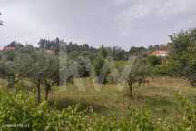 Terreno 4320 m2 Urbanizável - Entrevinhas, Sardoal