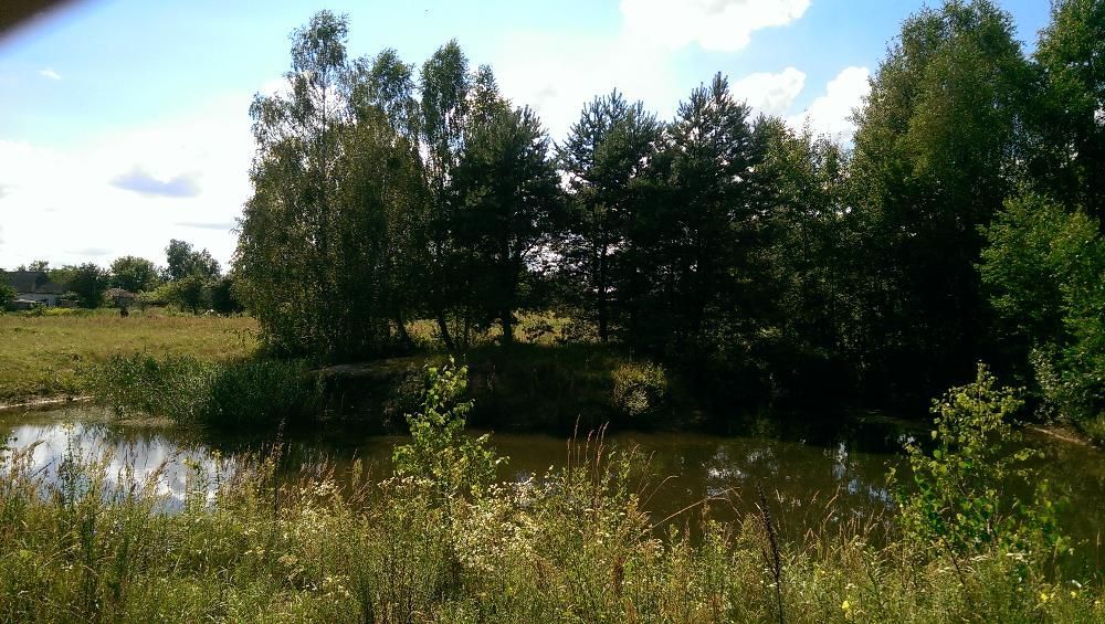 Участок со своим озером ,с.Андреевка,Вышгородский р-н.Киевская обл.