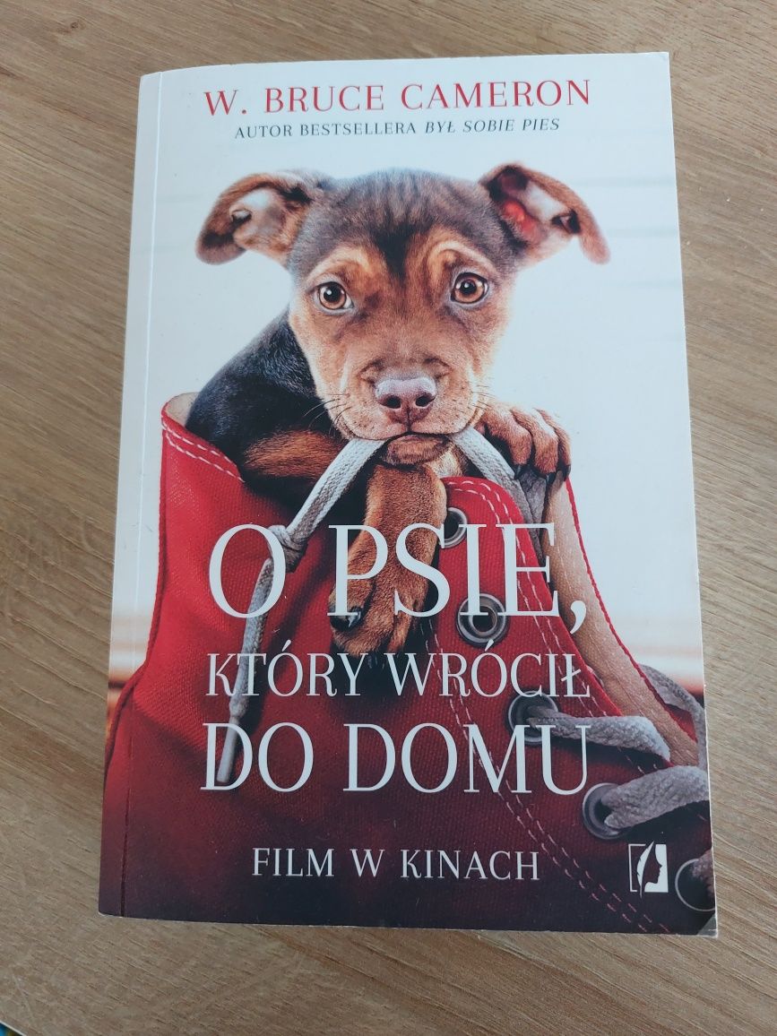 O psie który wrócił do domu.