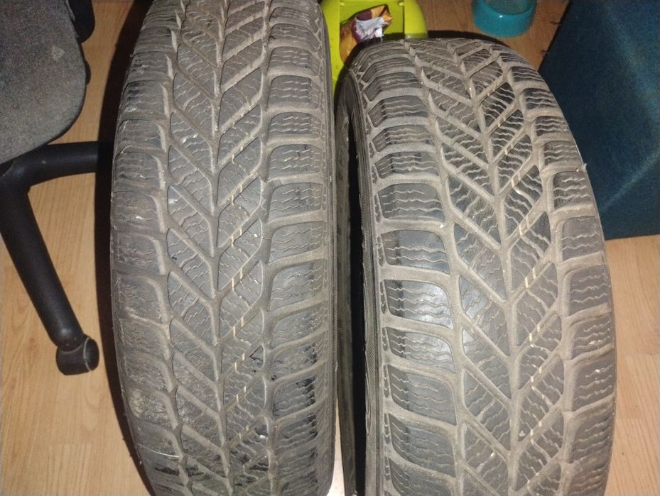 Opony zimowe Dębica frigo