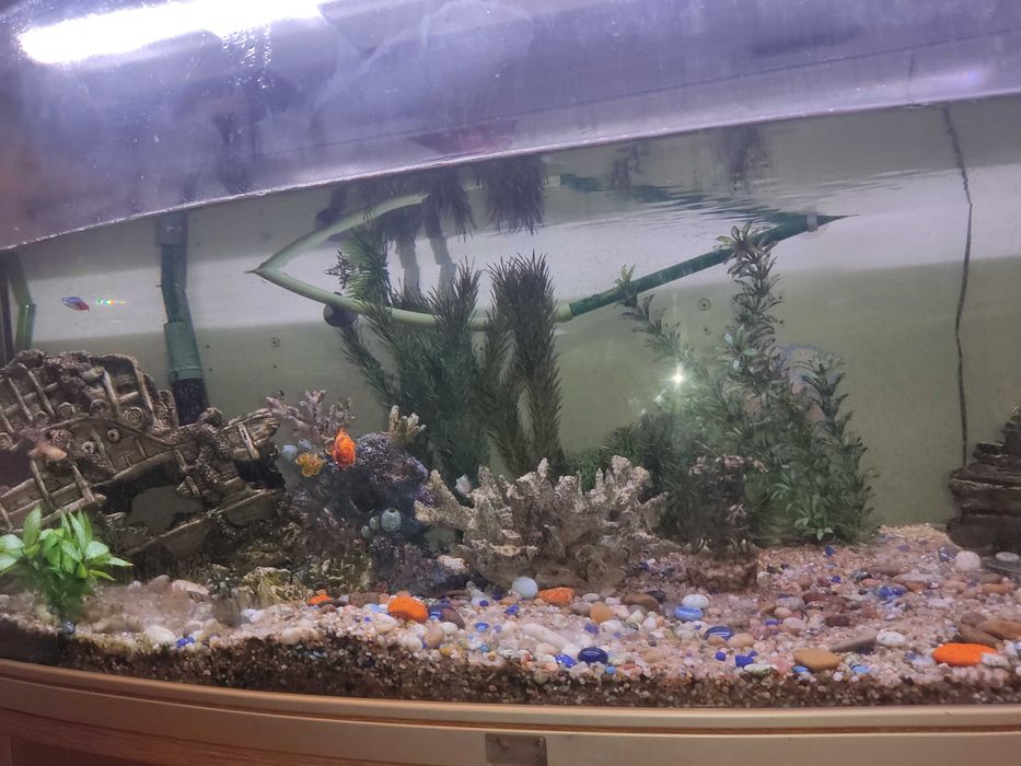 Aquário com móvel 350litros