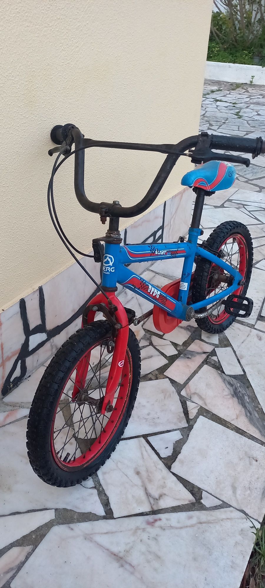 Bicicleta de Criança Berg