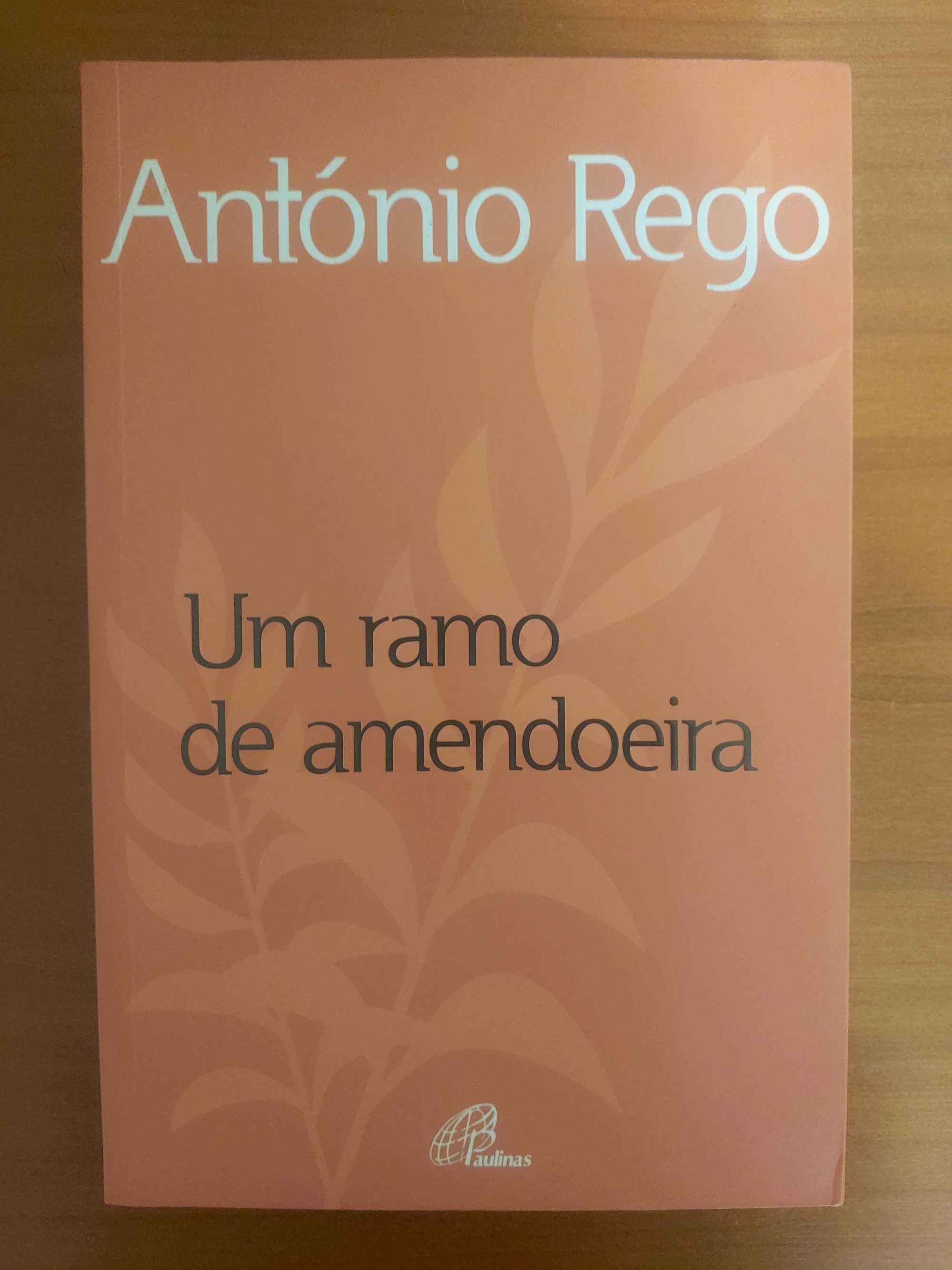 Um ramo de amendoeira