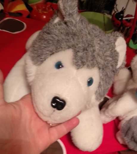 мягкая игрушка собака порода хаски голубые глаза  бело серый качество
