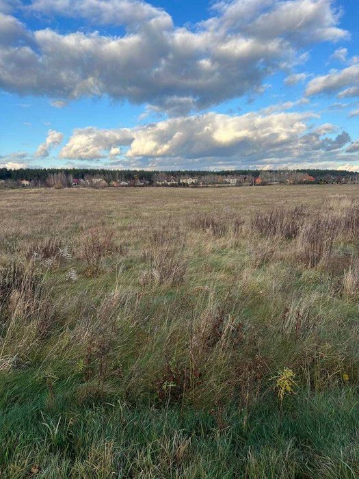 Земельна ділянка 142 сотих в Прилуцьку фасадна