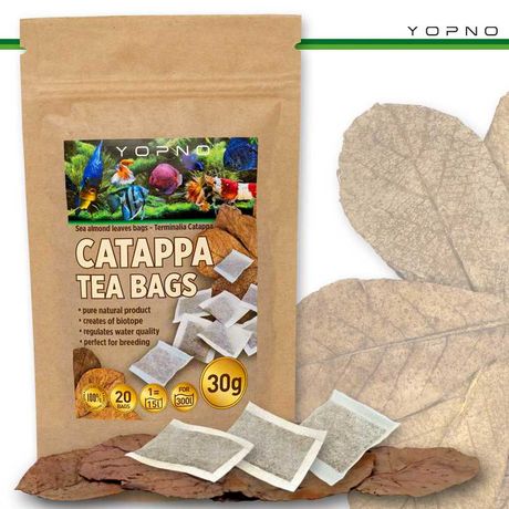 Ketapang / tea bags