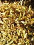 Suszona lipa 1kg