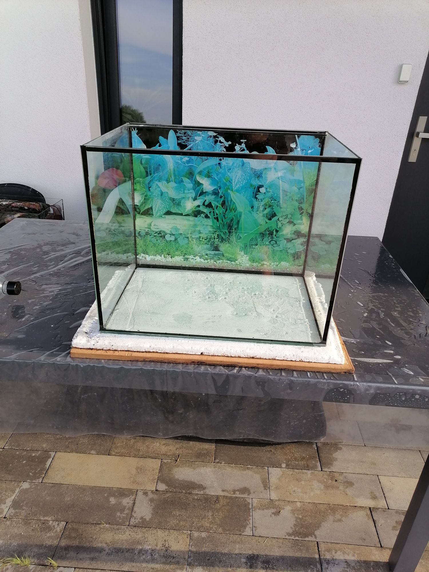 Akwarium o wymiarach 57cm szer. x głębokość 40cm i wysokość 45 cm