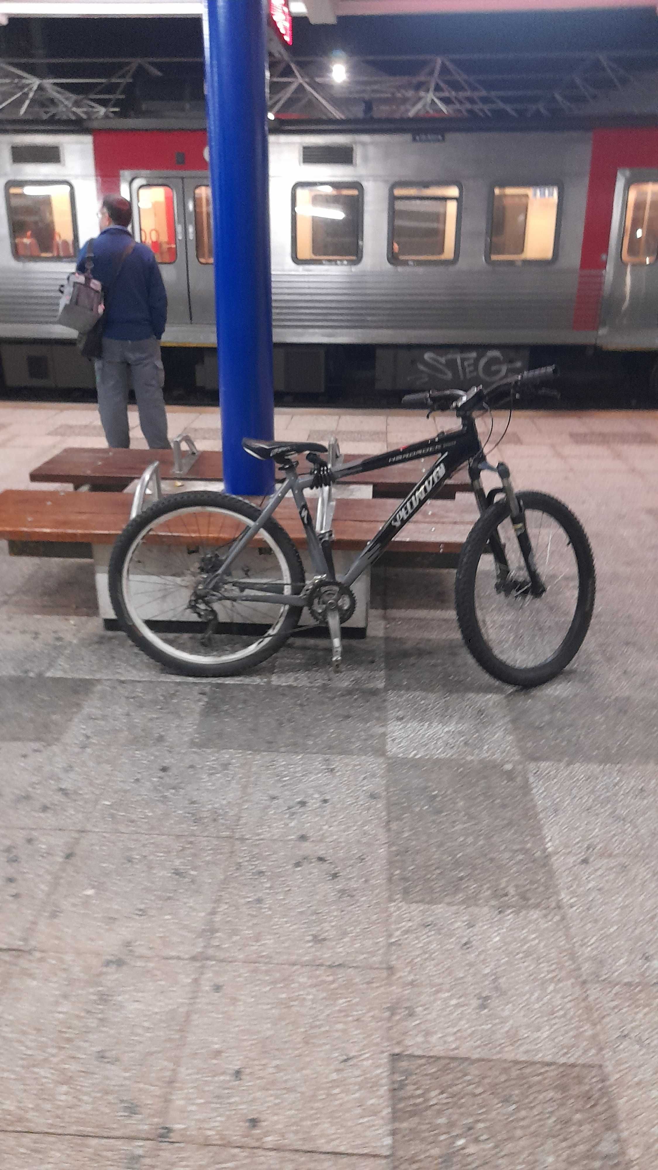 Bicicleta BTT Specialized Grau (Pneus Kenda)