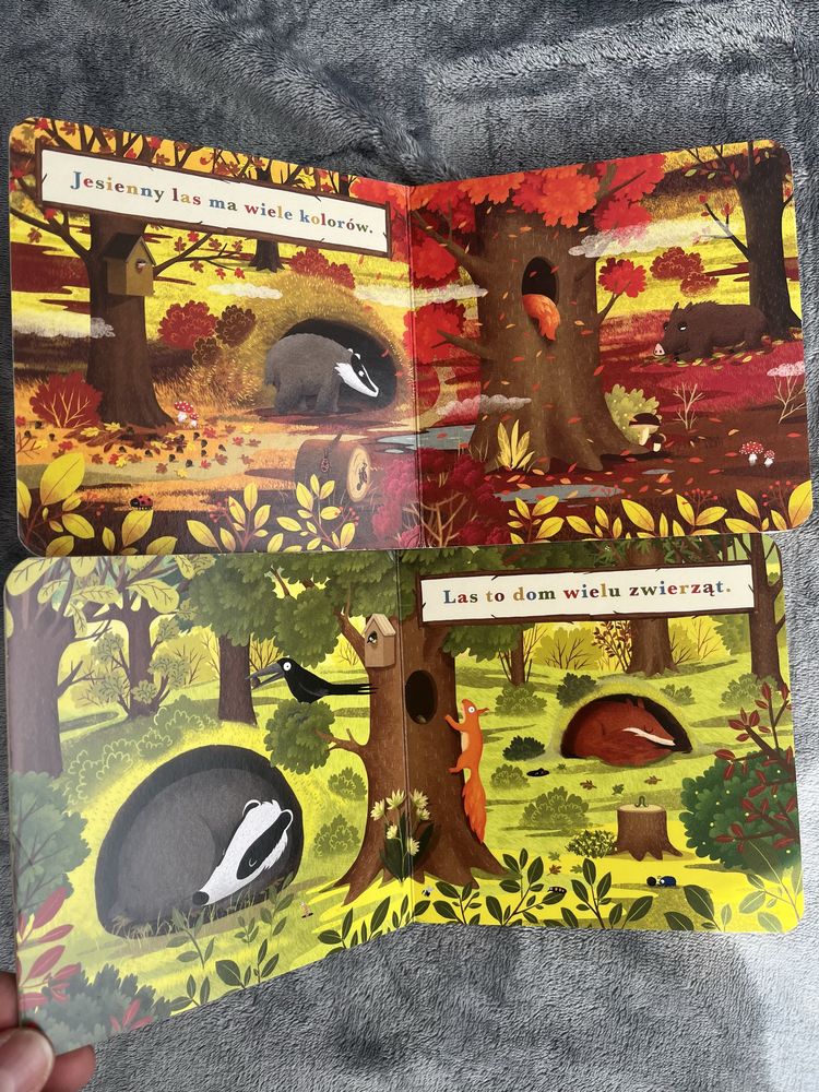 Rok w lesie - 2 ksiazki: Wiewiorka, Borsuk