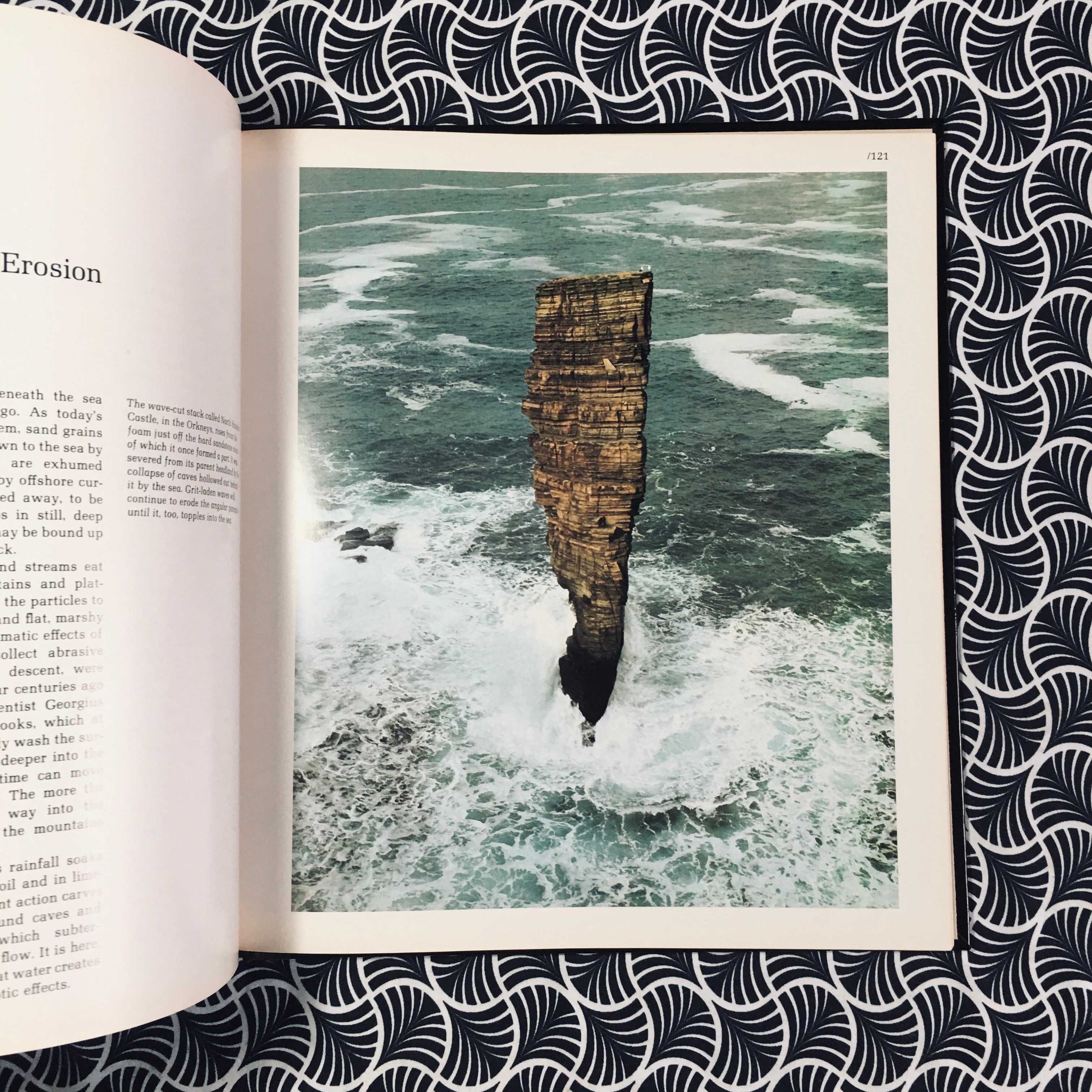 Wilderness Europe - Douglas Botting