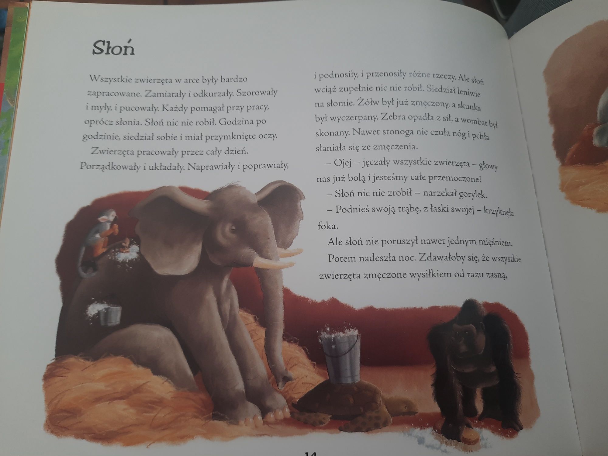 Opowieści z Arki Noego - John Goodwin, T. Macnaughton