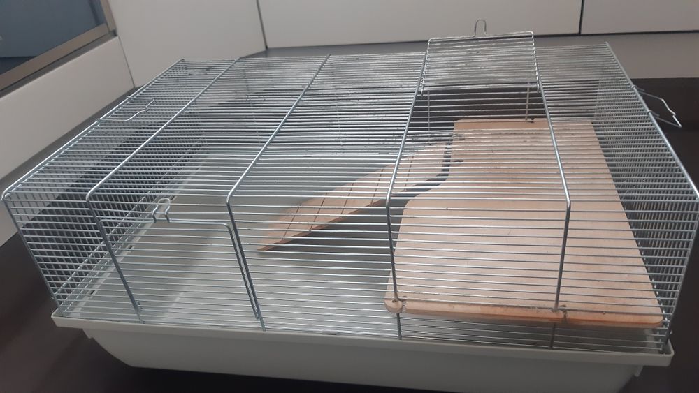 Klatka dla chomika