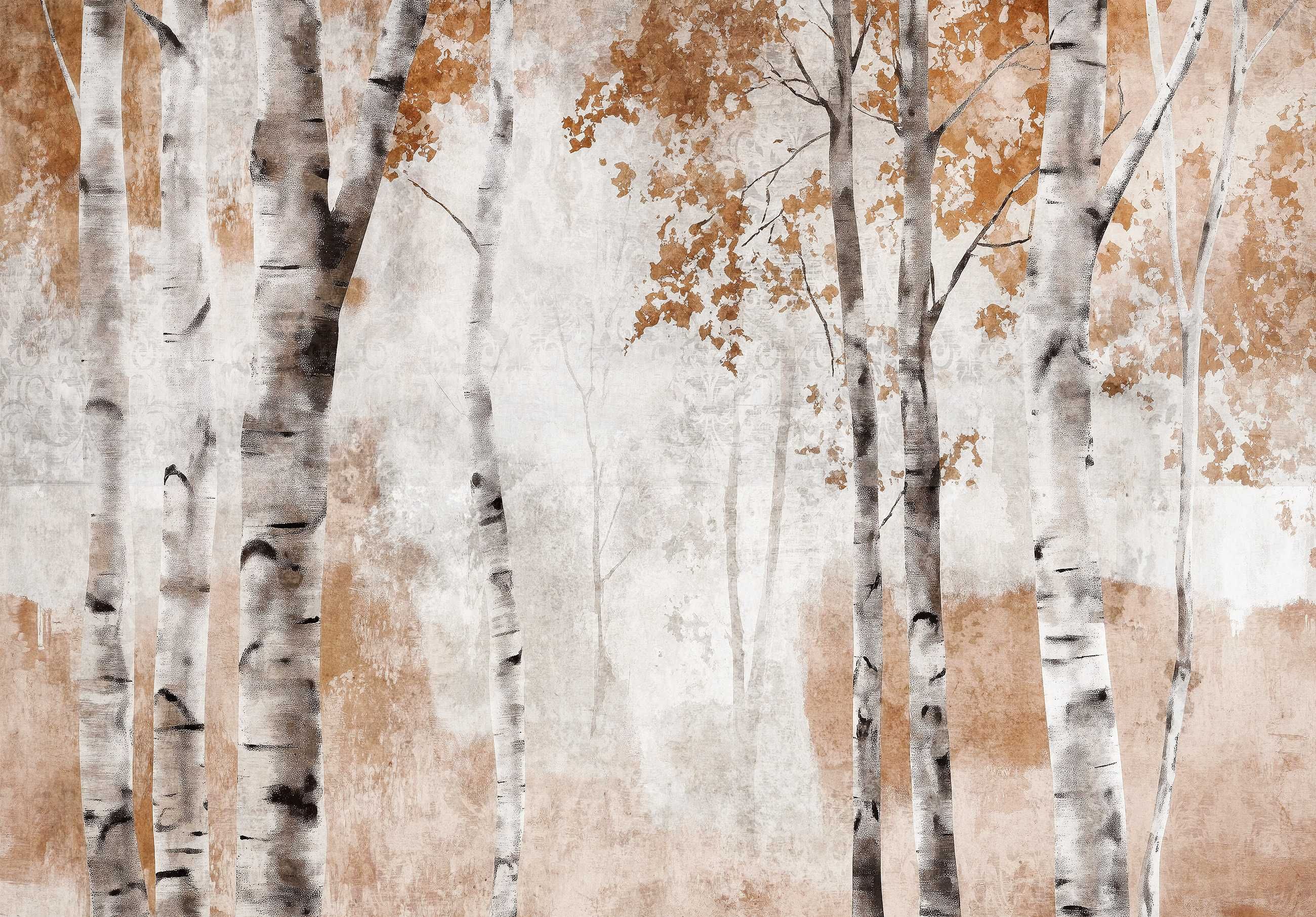 Fototapeta Las Brzozy Natura Widok Jesień Polska Brąz Kraj 3D + KLEJ