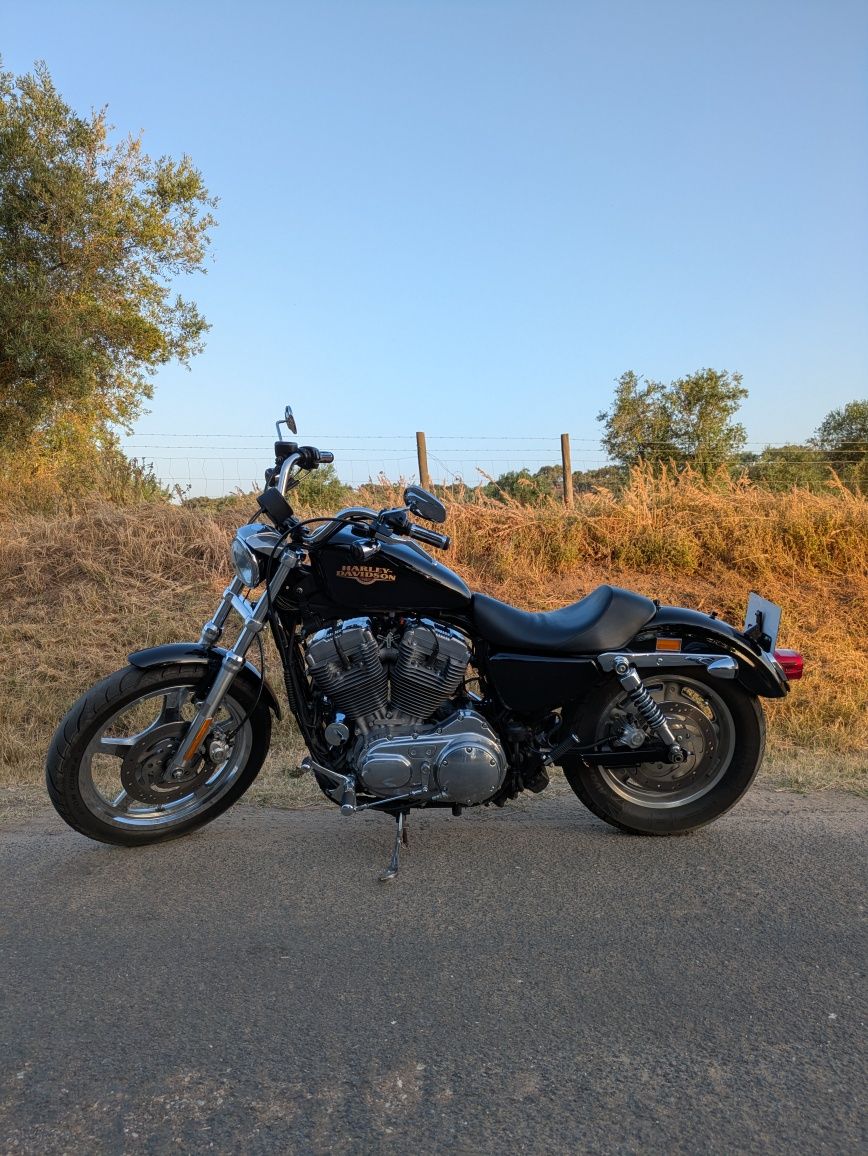 Harley Davidson 883