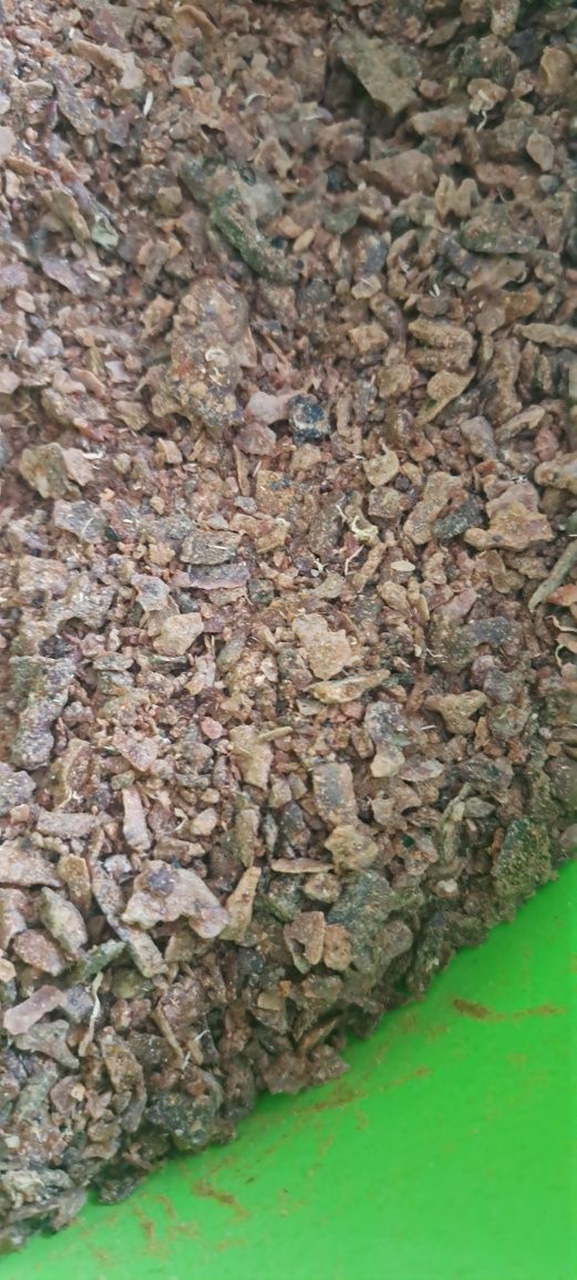 Propolis- kit szczeli