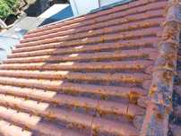 Todo tipo das obras,pintura,chão flutuante,azulejos,telhados etc