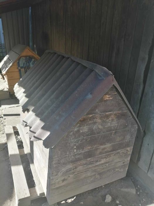 buda dla psa duża