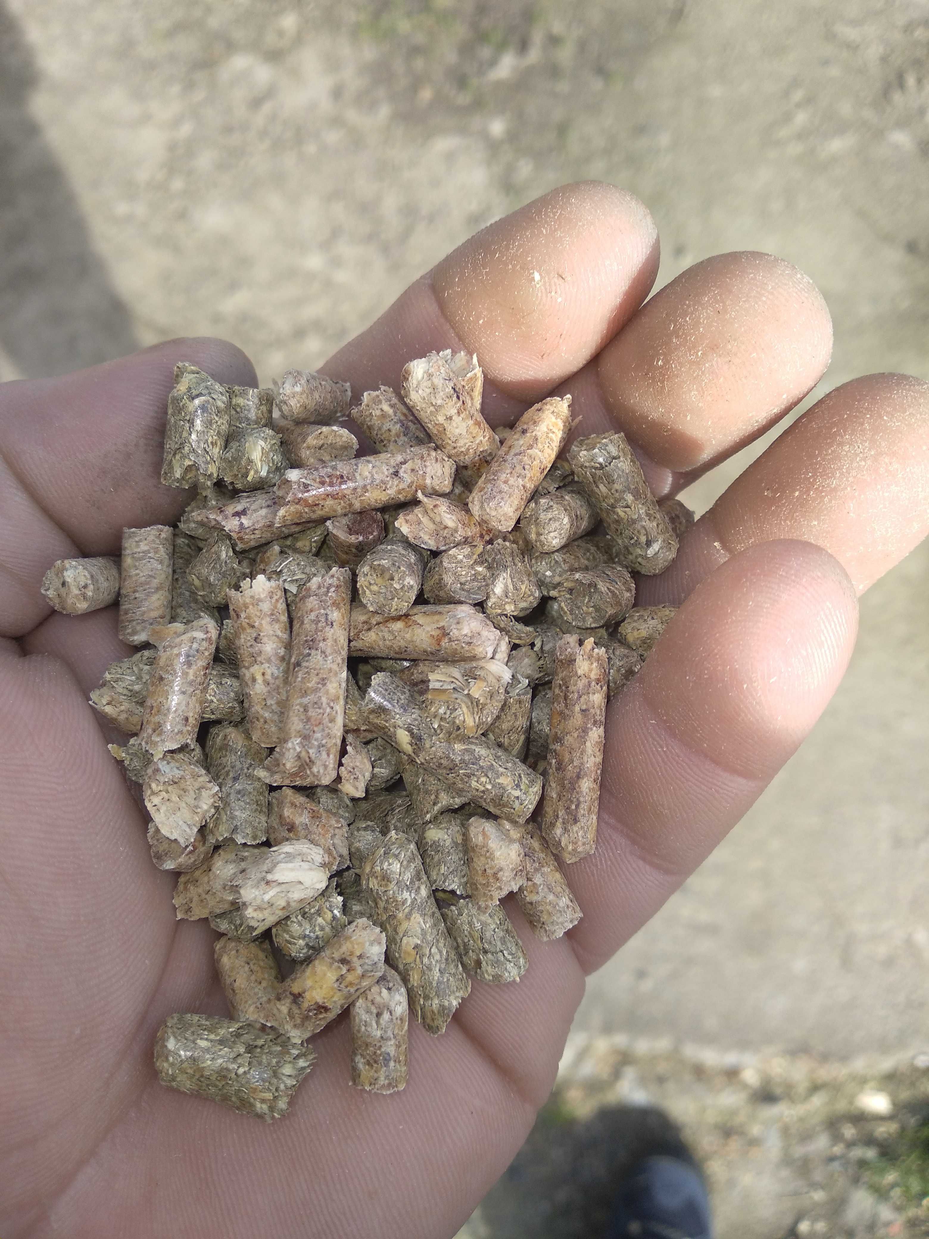 Pellet dla kota 15kg