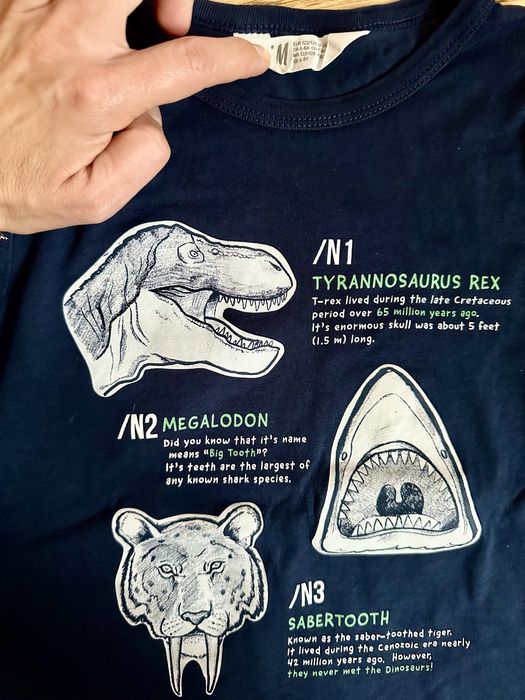 Bluzka 122/128 H&M dinozaury bdb