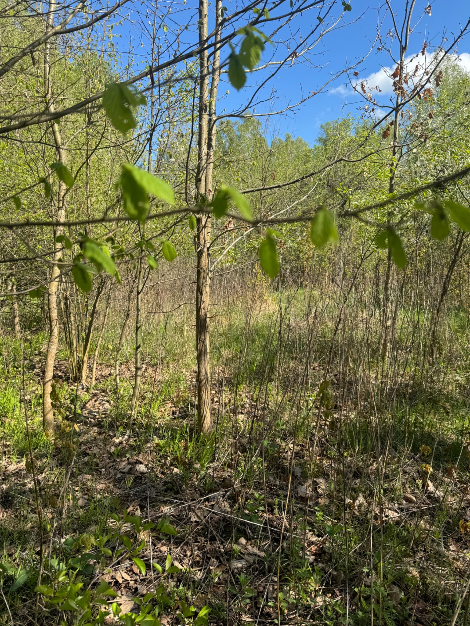 Продам дачу Бобрівський масив